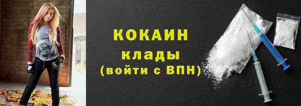 тгк Алексин