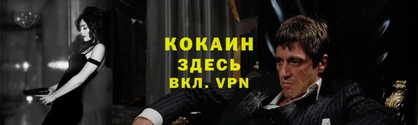тгк Алексин
